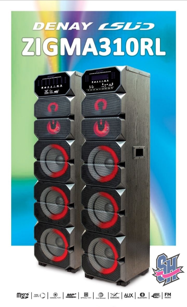 Photo_1714317133141.jpg اسپیکر رقص نور دار دنای مدل ZIGMA310RL2زیگما - تصویر 1